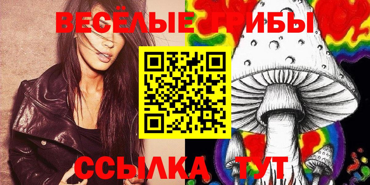 Галлюциногенные грибы GOLDEN TEACHER Майский