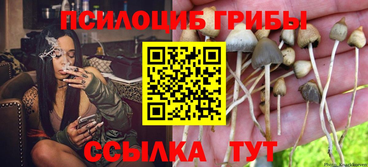 даркнет сайт  Псилоцибиновые грибы прущие грибы  Галлюциногенные грибы мицелий  Вход с VPN  Майский 
